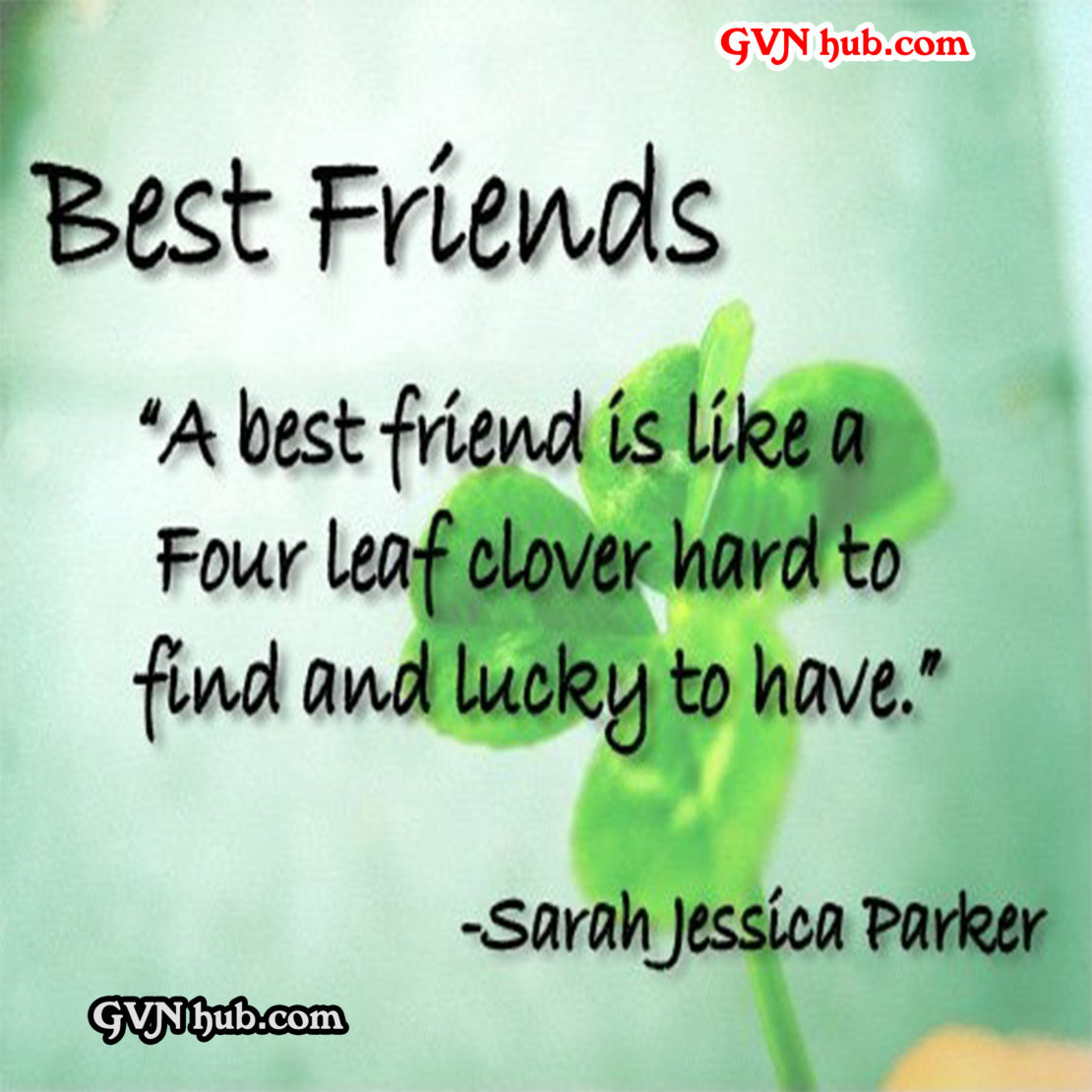 Best Friendship Quotes - GVN Hub