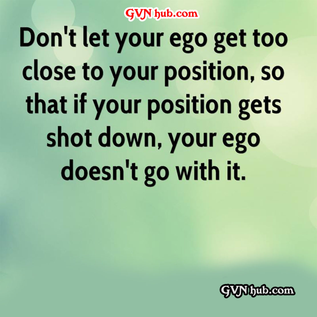 Best Friendship Quotes - GVN Hub