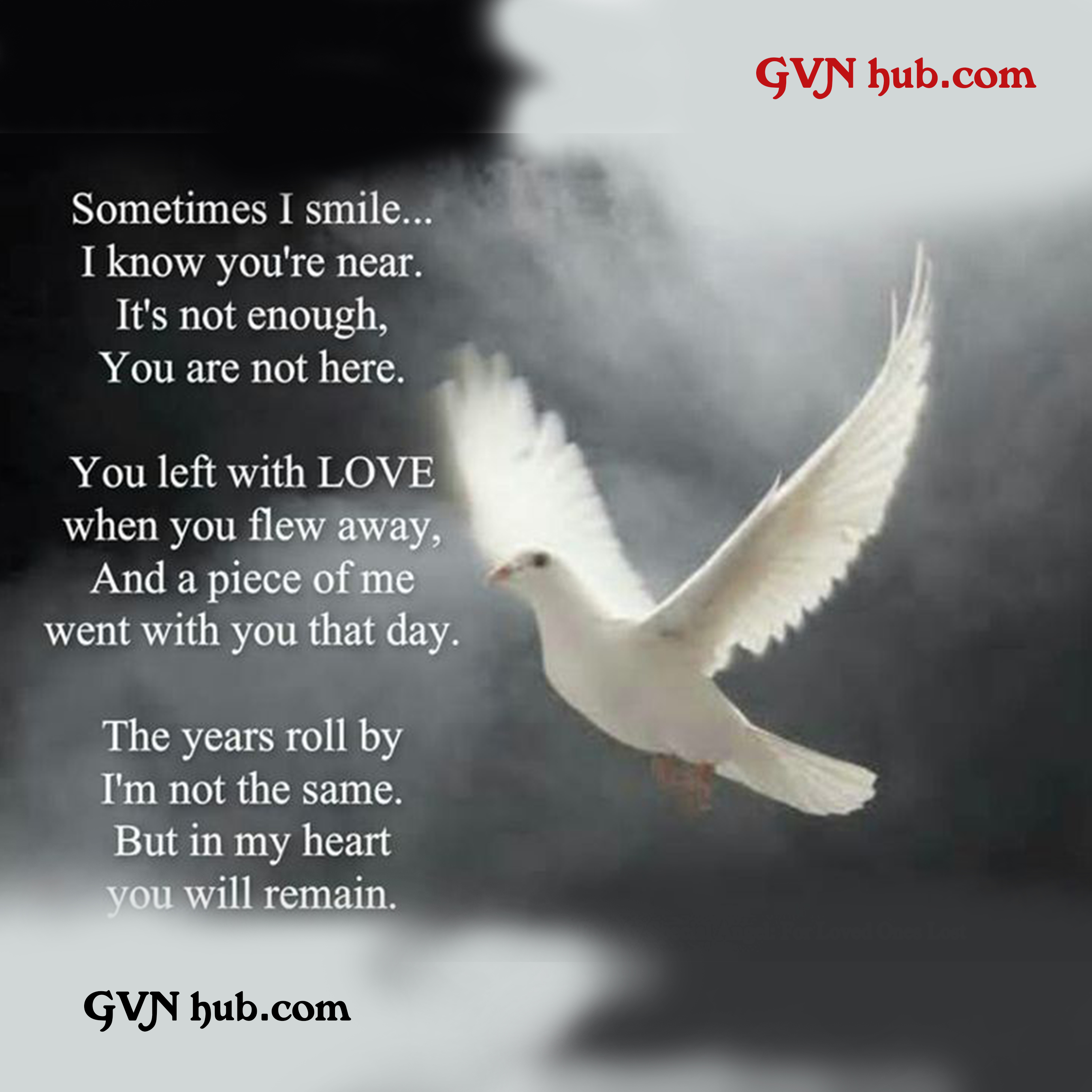 15 Best Heart Touching Miss You Quotes - GVN Hub